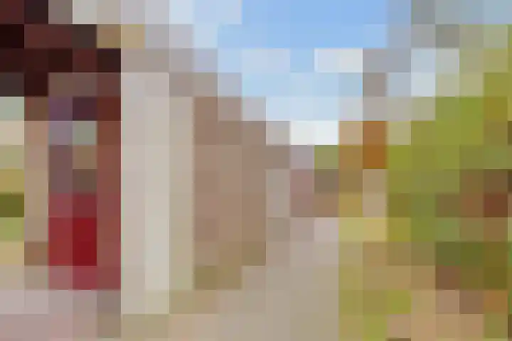 Team foto van Jonkers, meer dan geWOON een makelaardij!