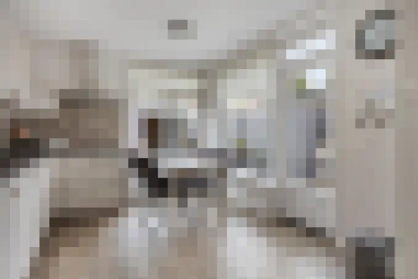 Jonkers van Ossstraat 29 Oss thumbnail 10