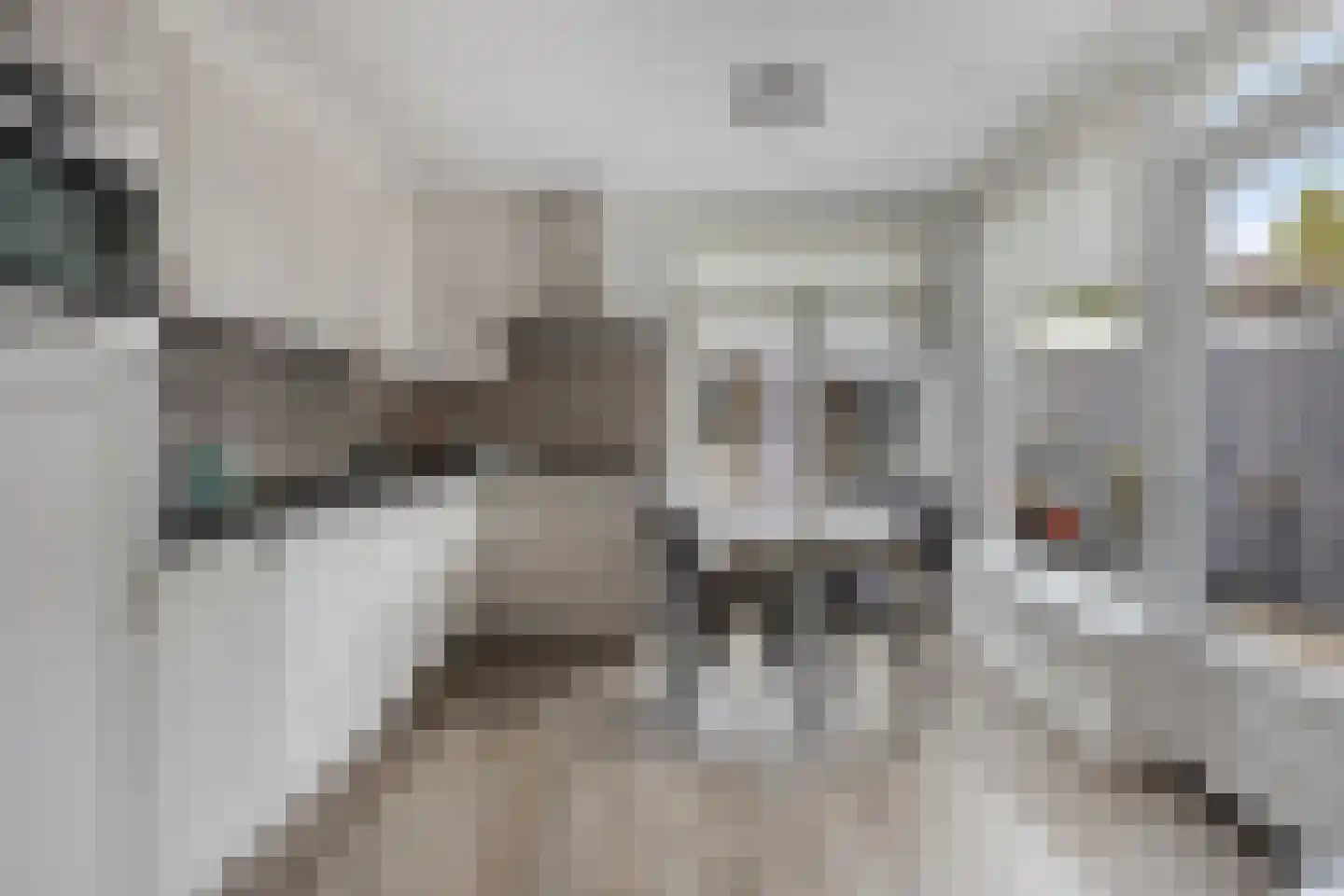 Jonkers van Ossstraat 29 Oss thumbnail 4