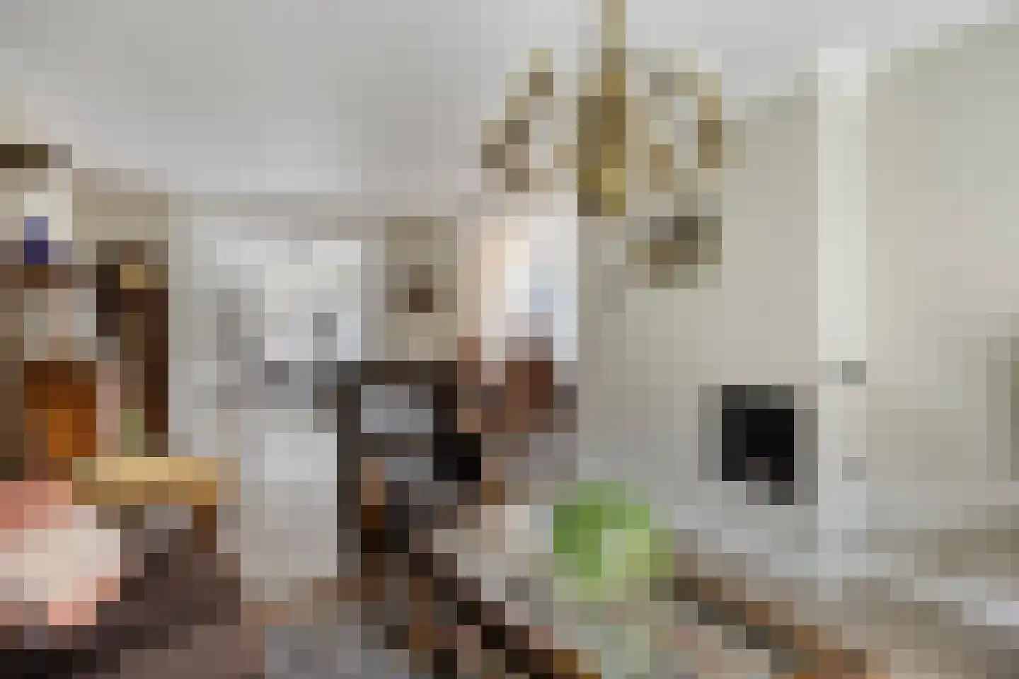 Jonkers van Ossstraat 29 Oss thumbnail 5