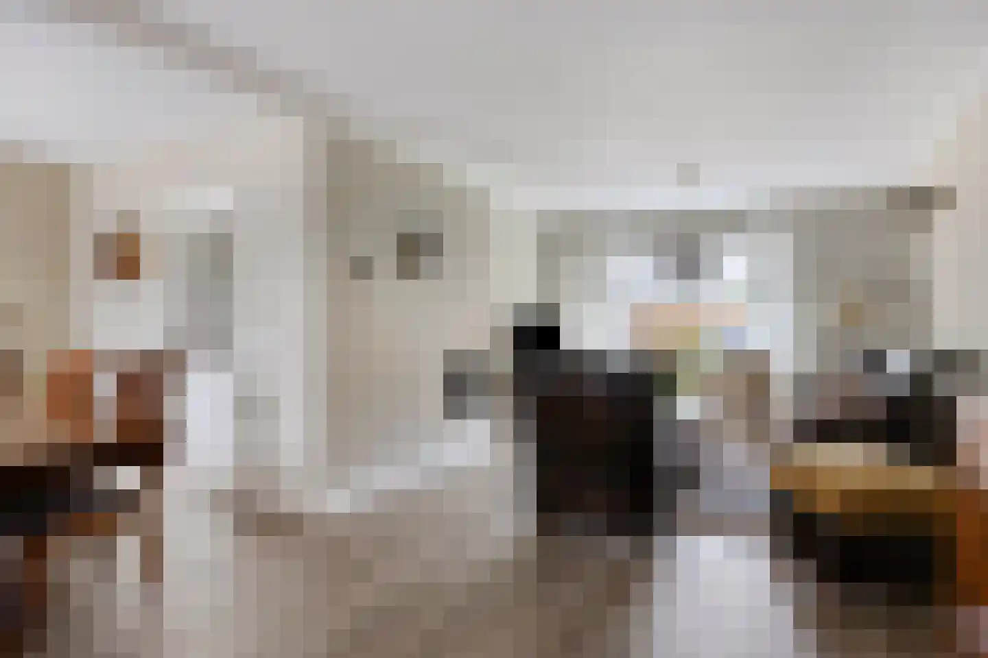 Jonkers van Ossstraat 29 Oss thumbnail 6