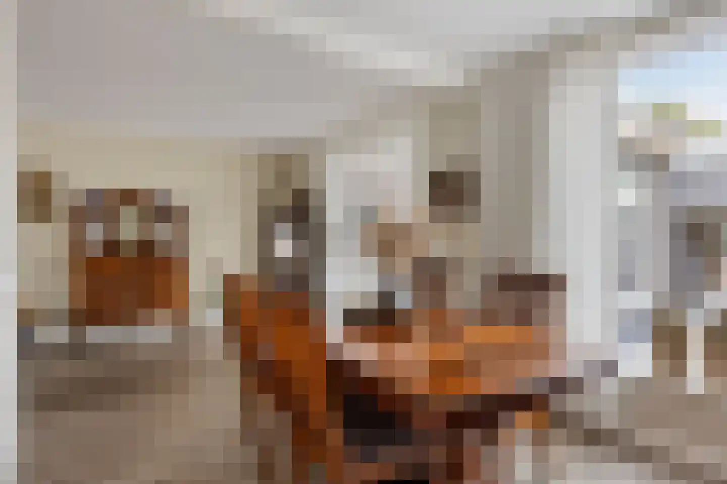 Jonkers van Ossstraat 29 Oss thumbnail 7
