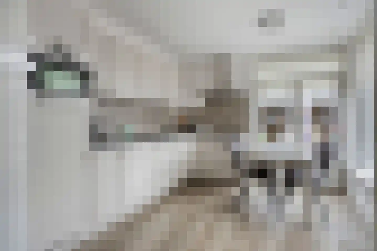 Jonkers van Ossstraat 29 Oss thumbnail 8
