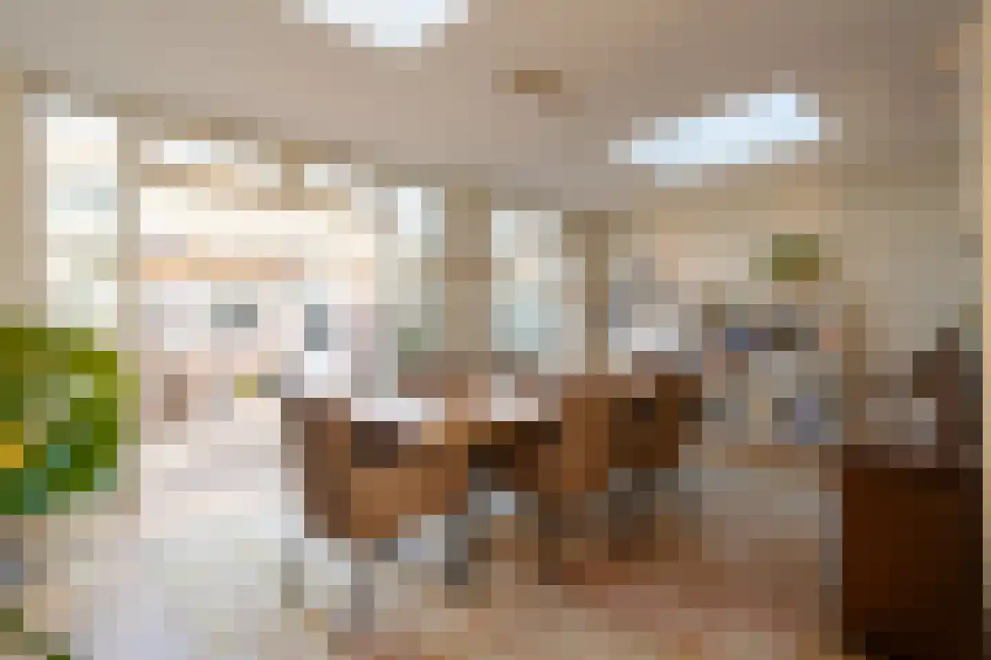 Jonkers van Ossstraat 31 Oss thumbnail 11