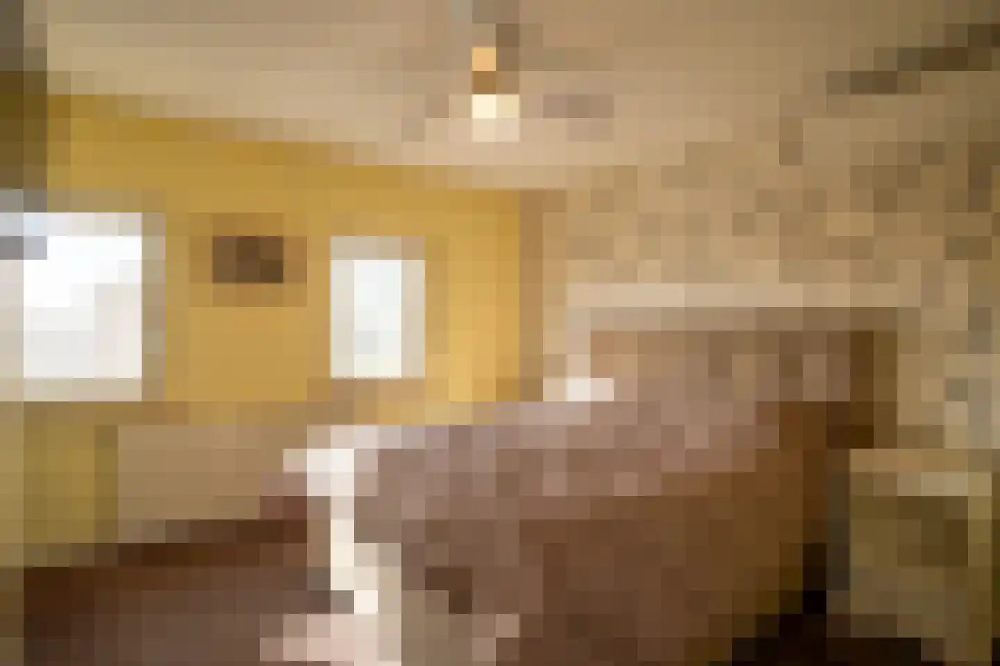 Jonkers van Ossstraat 31 Oss thumbnail 14