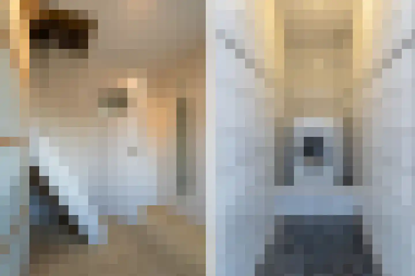 Jonkers van Ossstraat 31 Oss thumbnail 18
