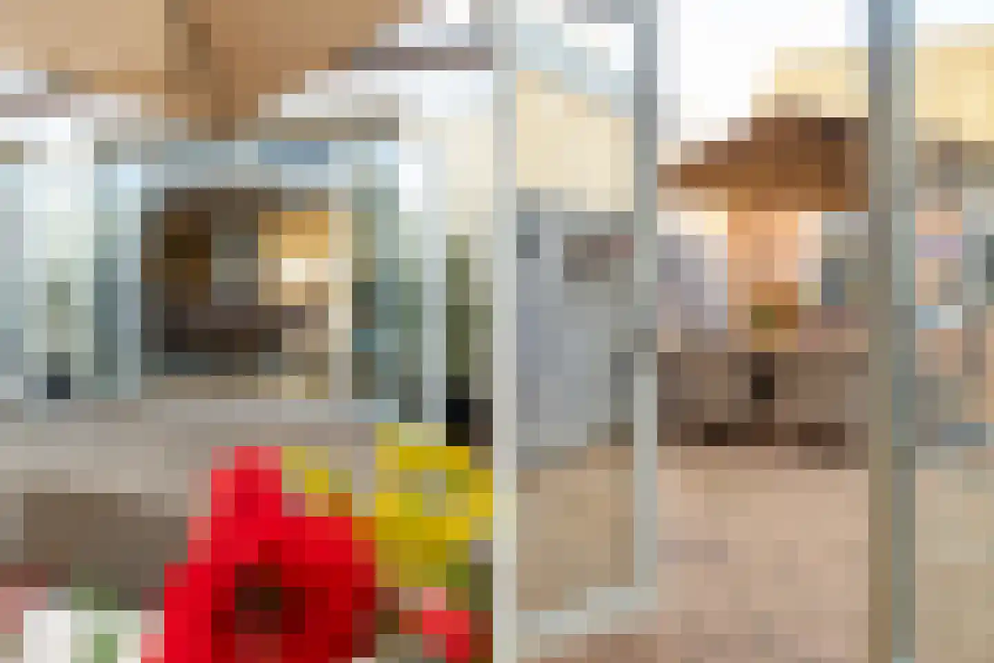 Jonkers van Ossstraat 31 Oss thumbnail 22