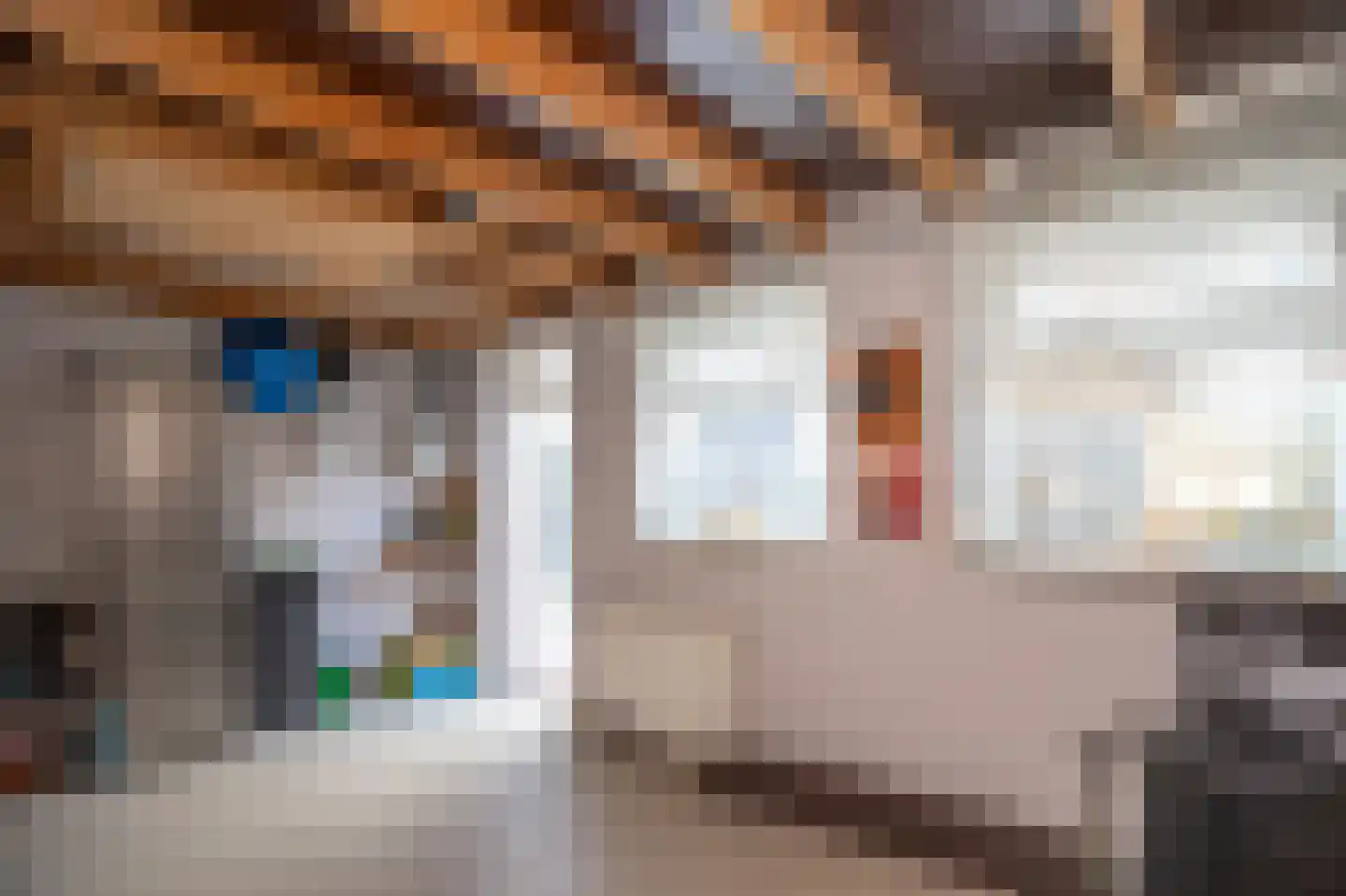 Jonkers van Ossstraat 31 Oss thumbnail 24