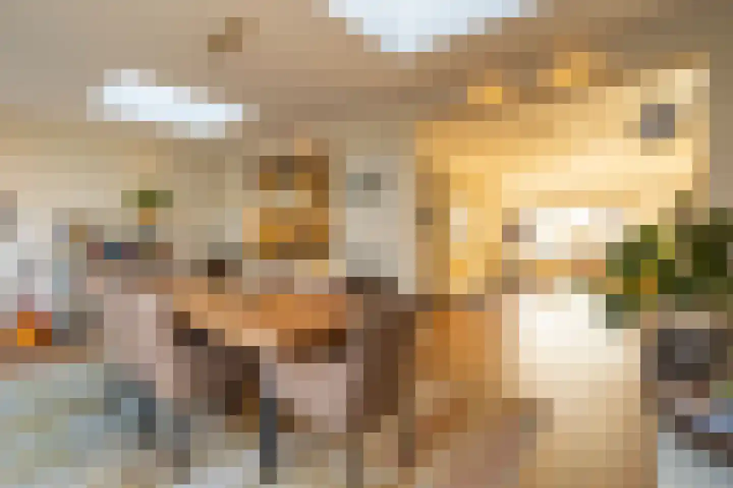Jonkers van Ossstraat 31 Oss thumbnail 7