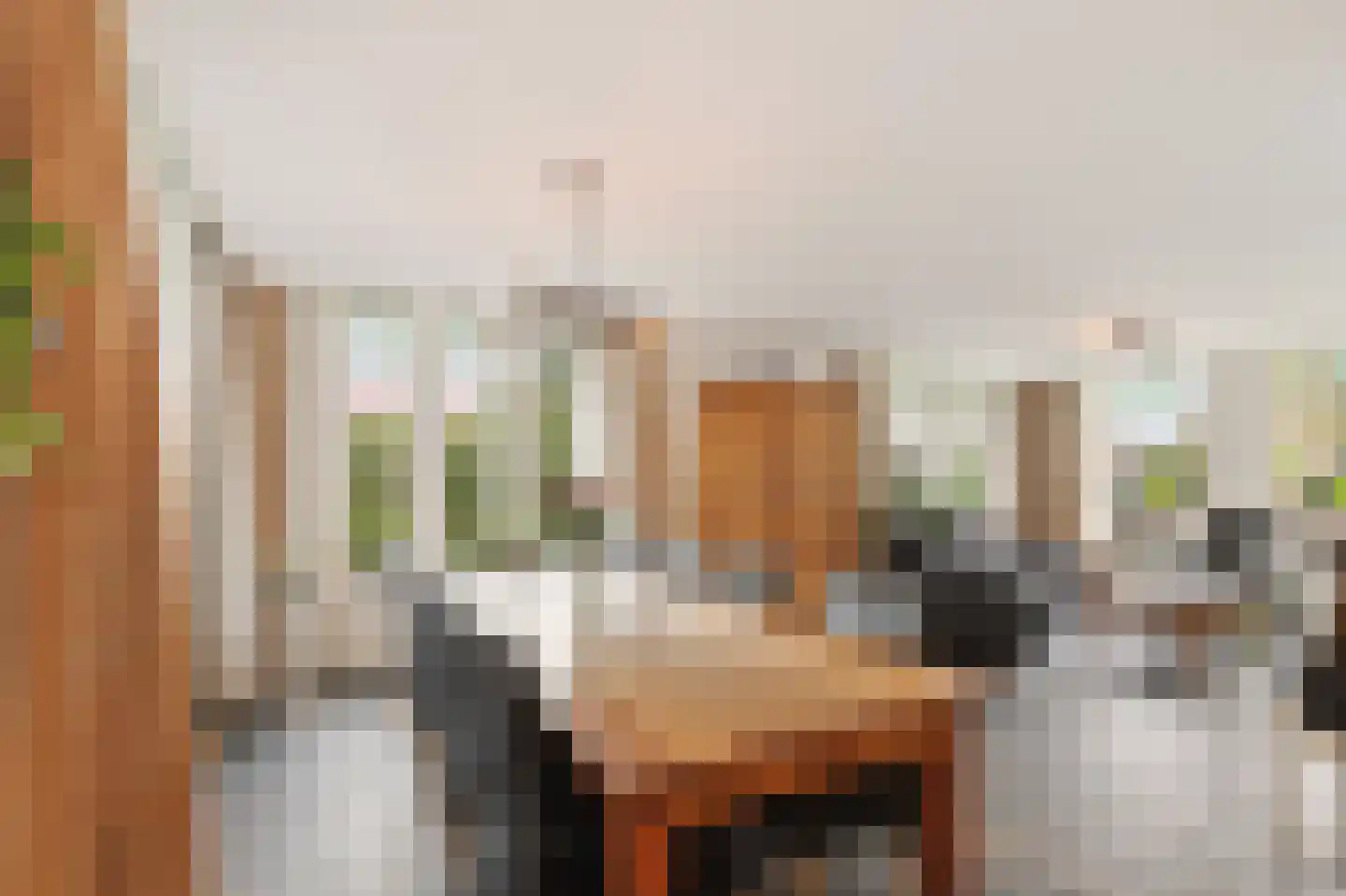 Jonkersbosje 4 Joure thumbnail 12