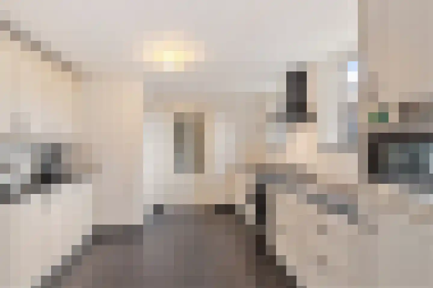 Jonkersbosje 4 Joure thumbnail 15