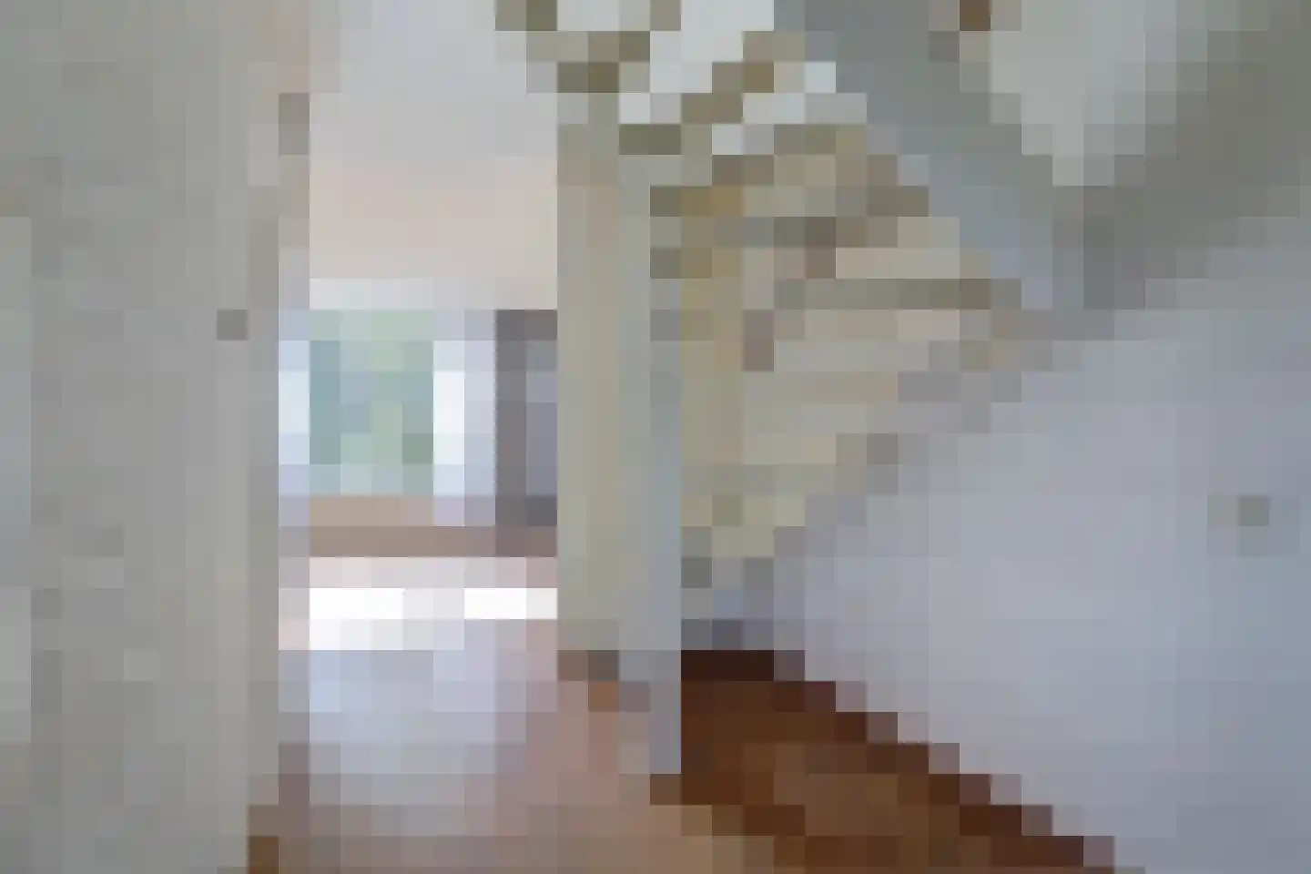 Jonkersfinne 2 Workum thumbnail 12