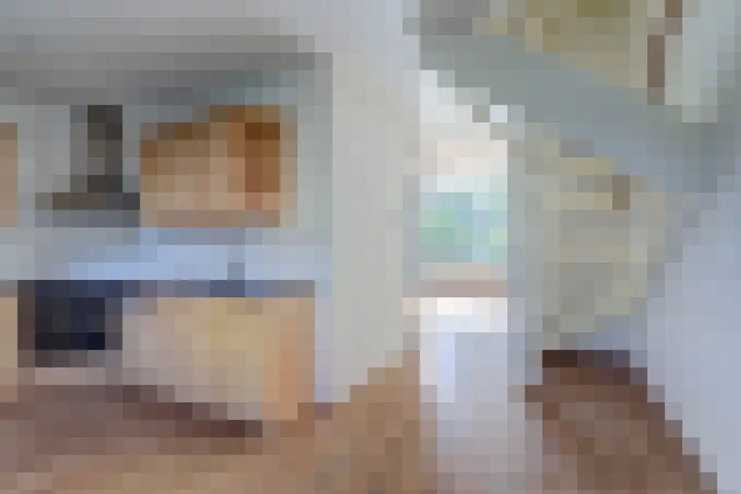 Jonkersfinne 2 Workum thumbnail 14