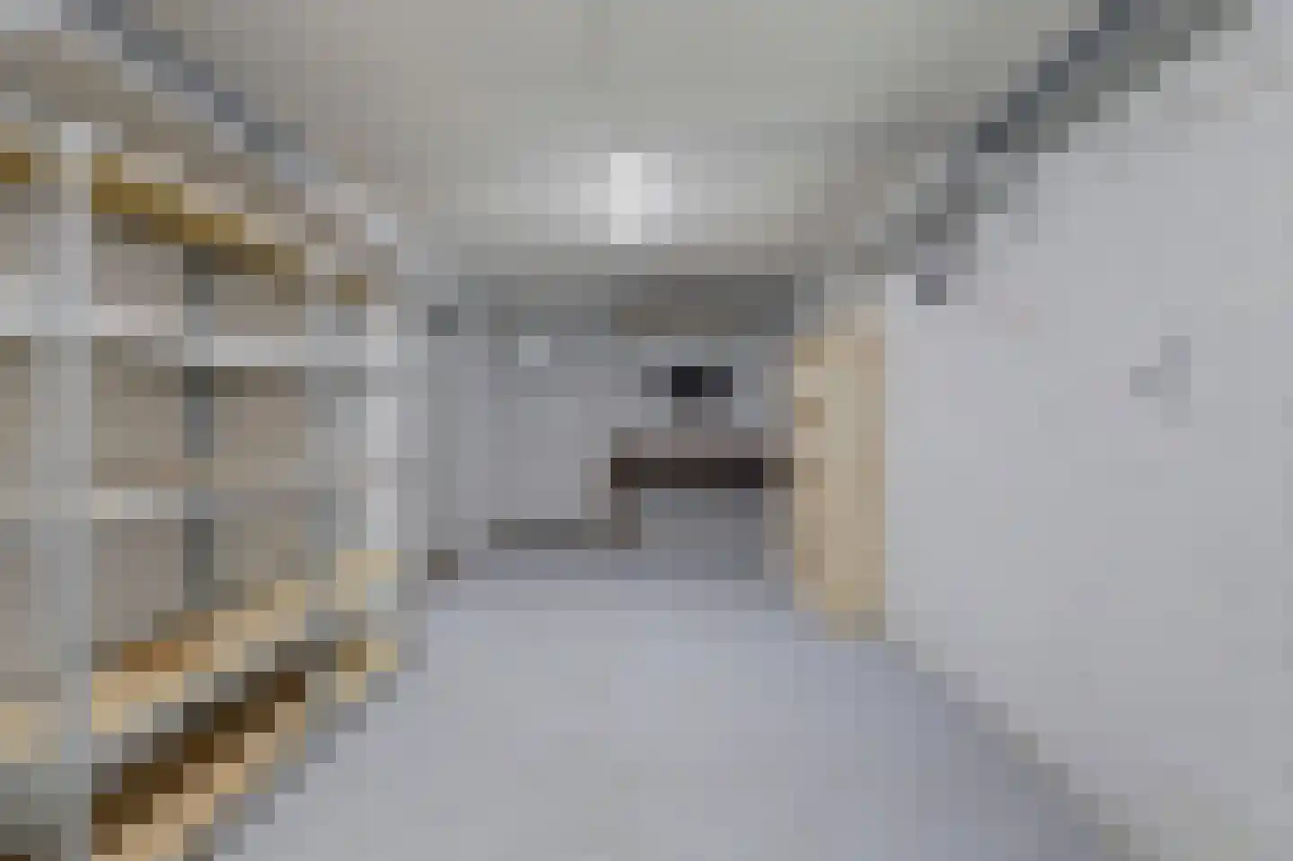 Jonkersfinne 2 Workum thumbnail 19
