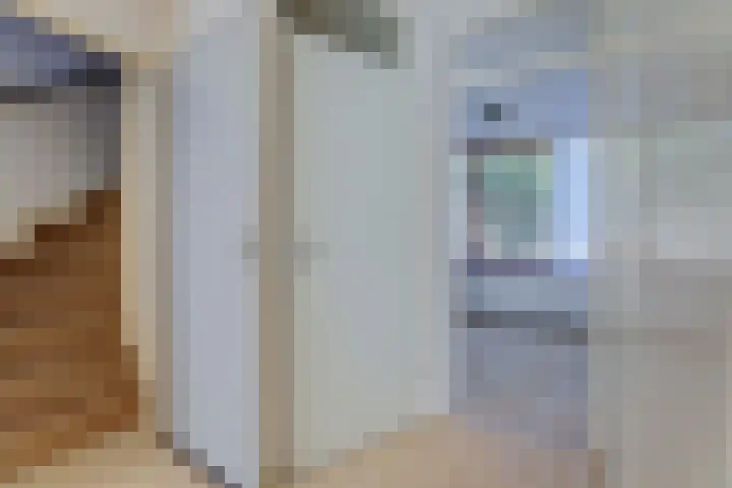 Jonkersfinne 2 Workum thumbnail 20