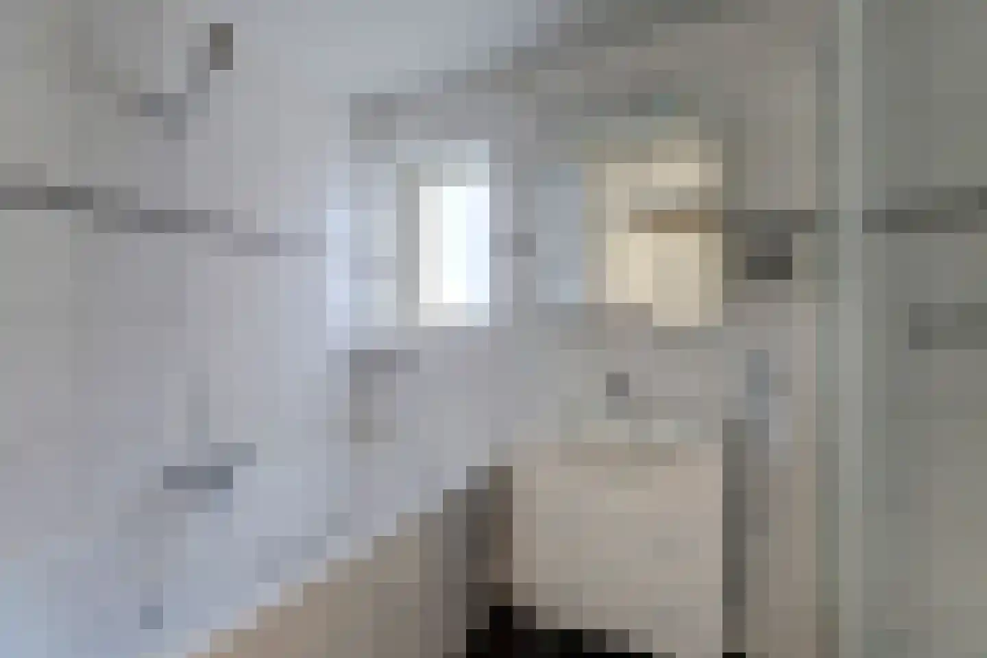 Jonkersfinne 2 Workum thumbnail 27