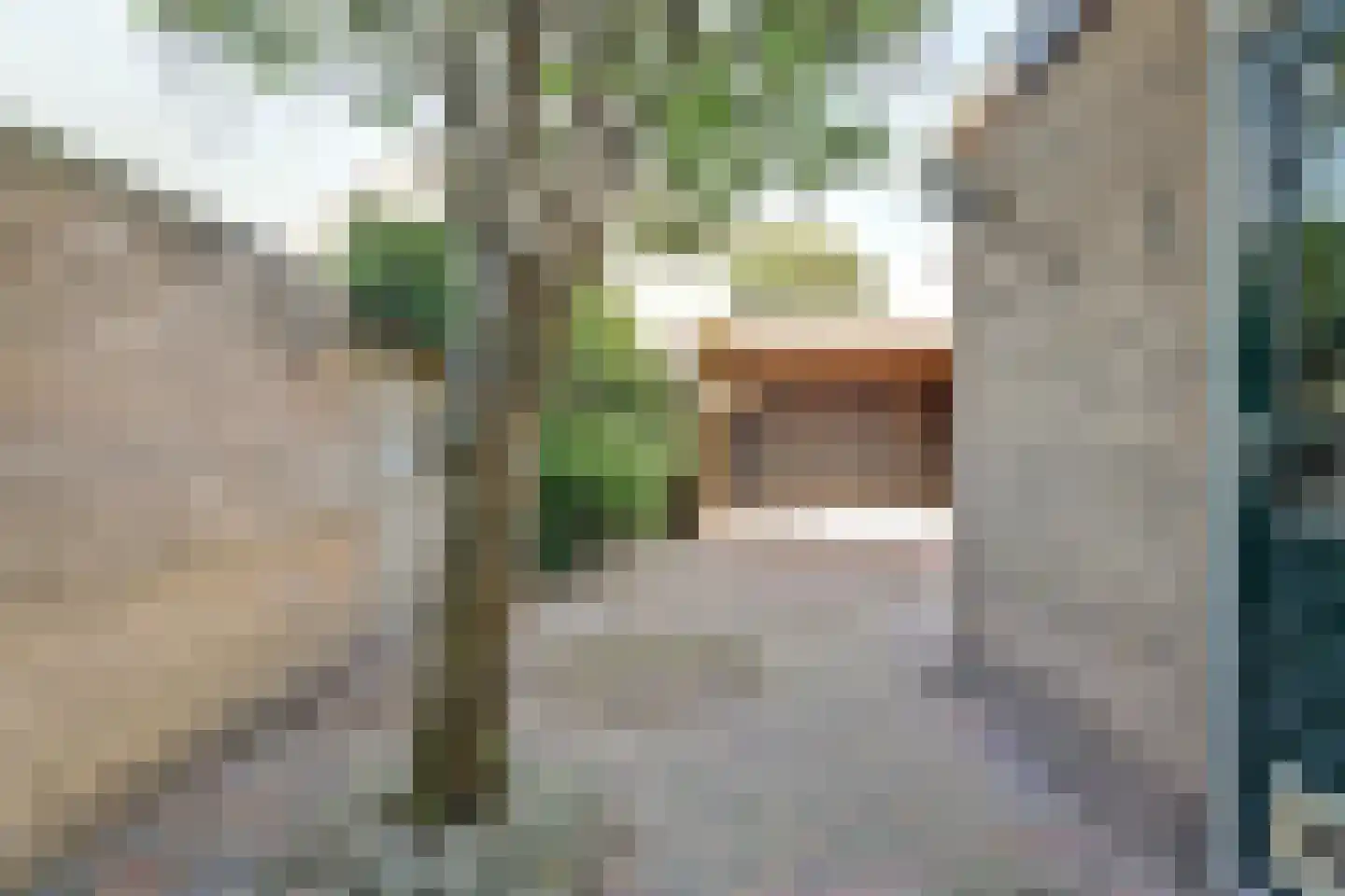 Jonkersfinne 2 Workum thumbnail 33