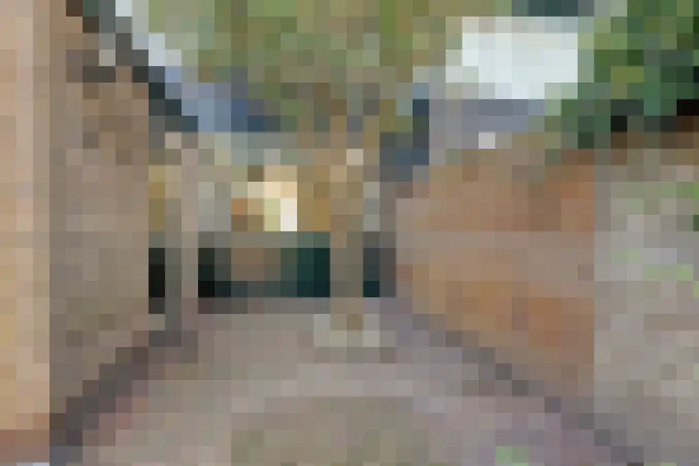 Jonkersfinne 2 Workum thumbnail 38