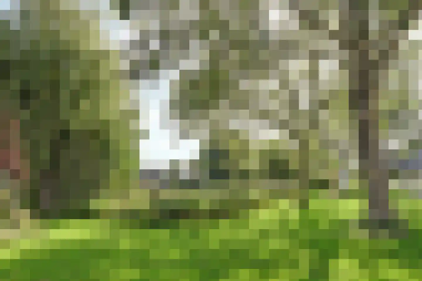 Jonkersfinne 2 Workum thumbnail 39
