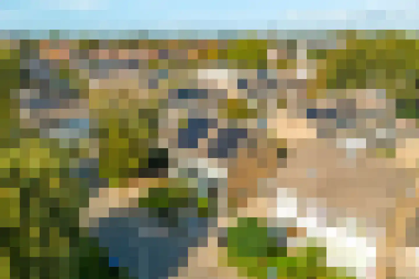 Jonkersfinne 2 Workum thumbnail 40