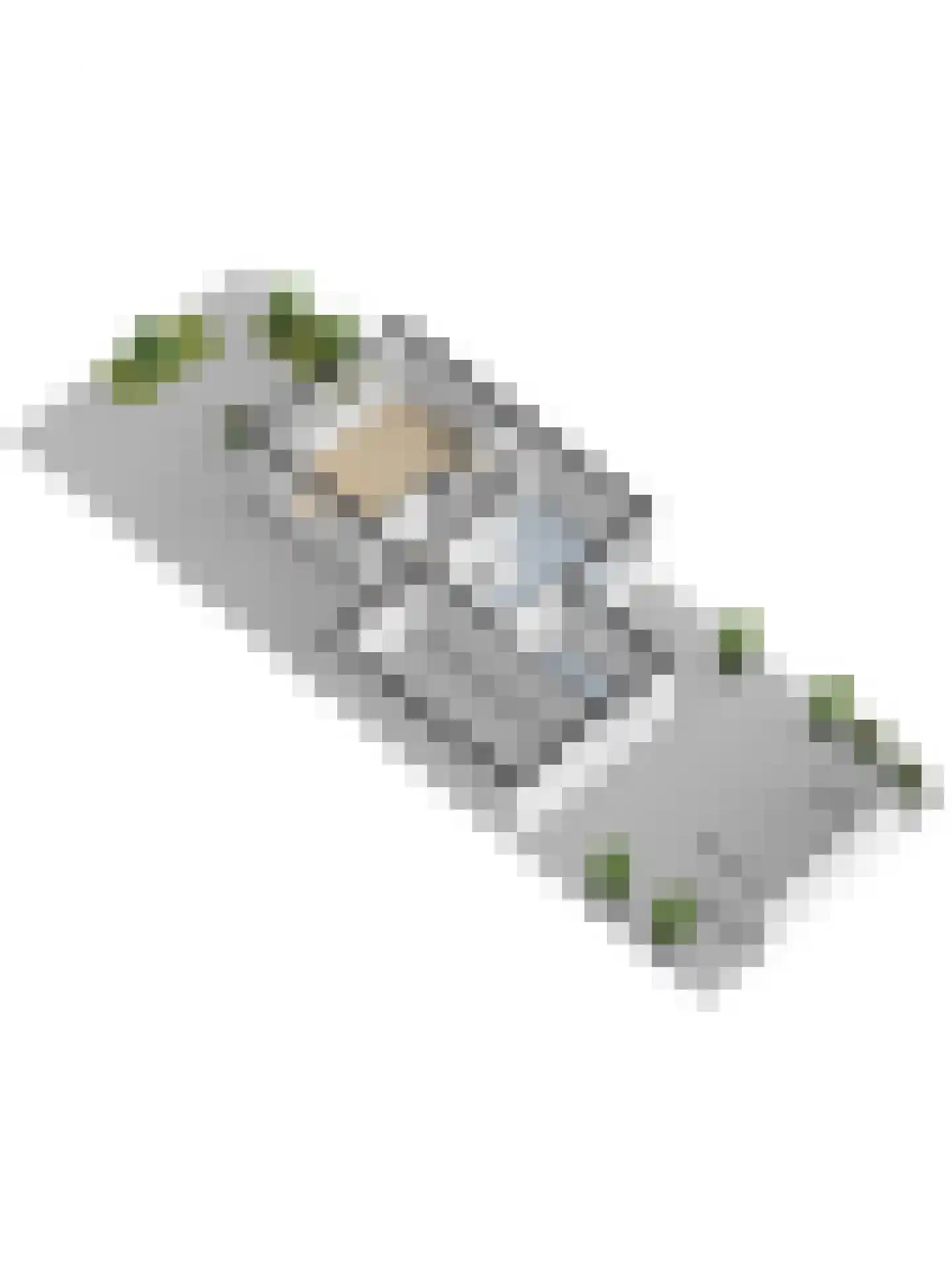 Jonkersfinne 2 Workum thumbnail 52