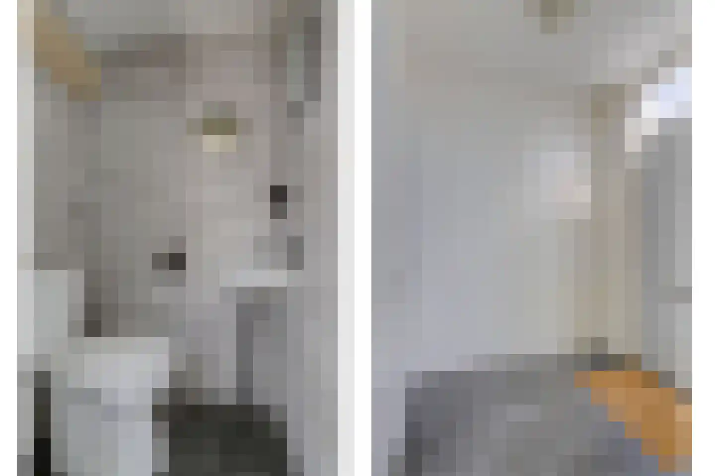 Jonkersfinne 2 Workum thumbnail 8