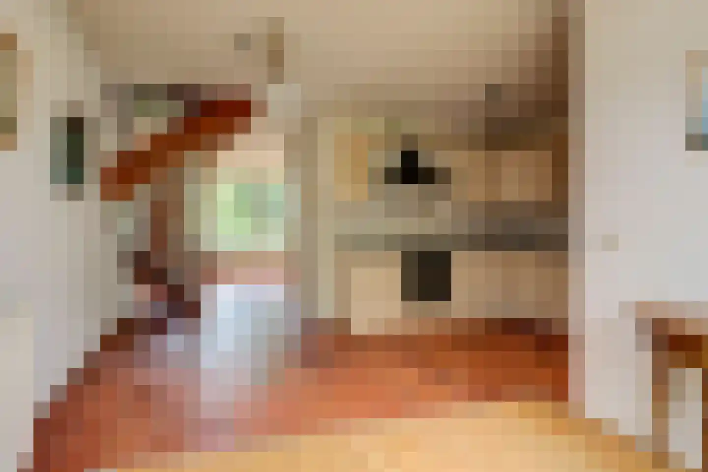 Jonkersfinne 3 Workum thumbnail 13