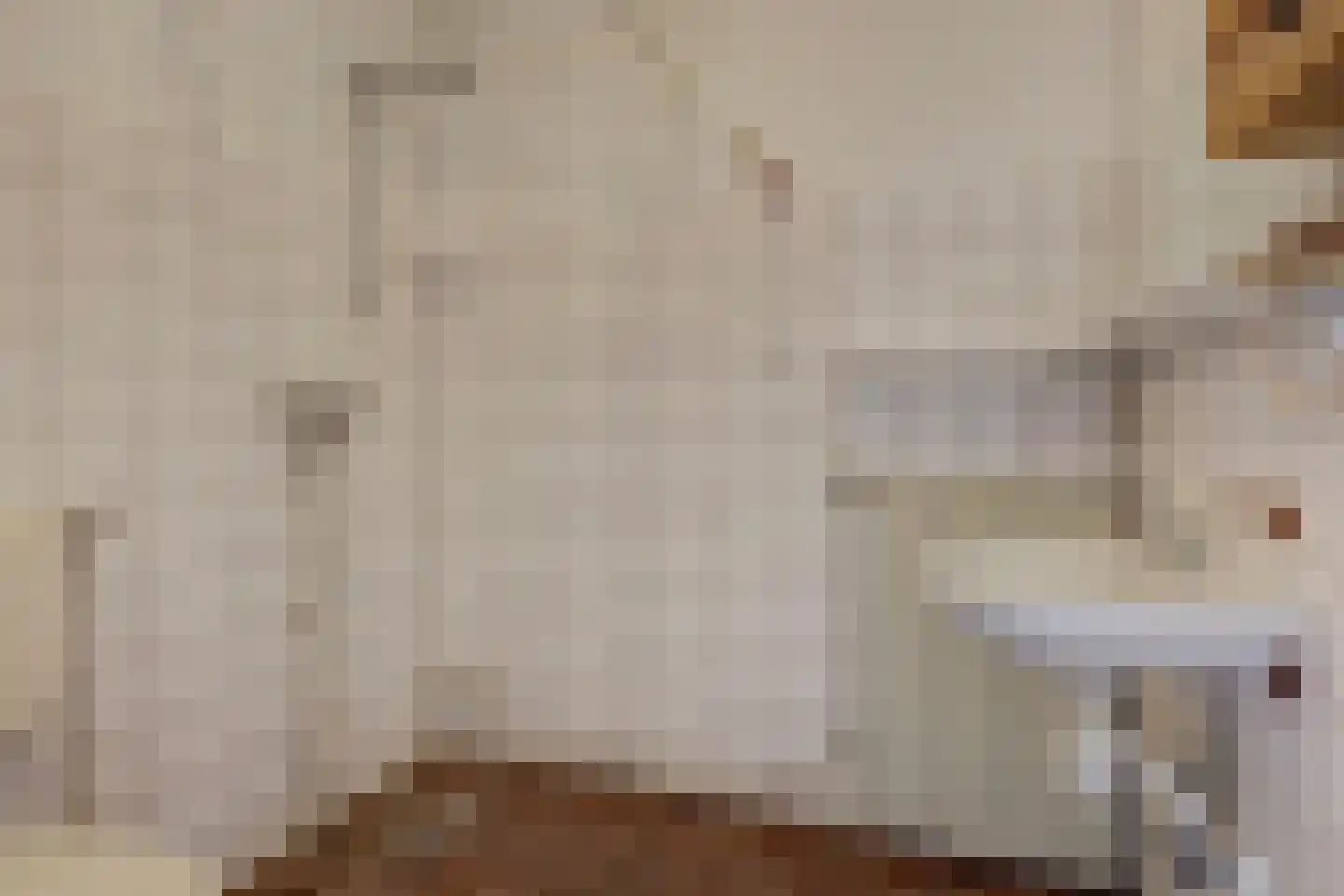 Jonkersfinne 3 Workum thumbnail 25
