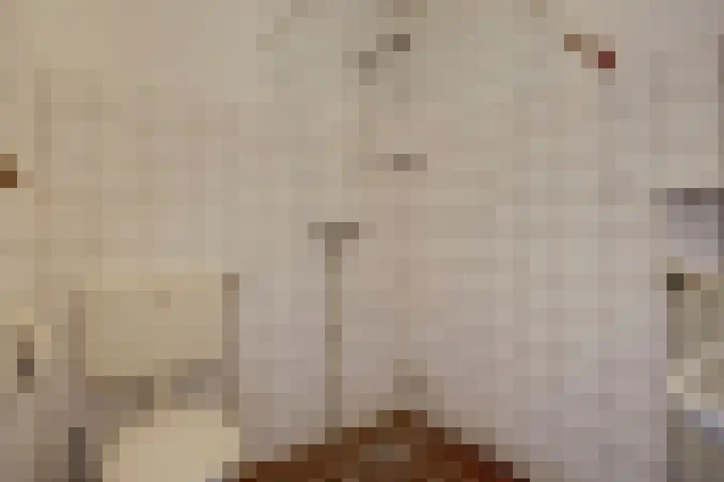 Jonkersfinne 3 Workum thumbnail 27
