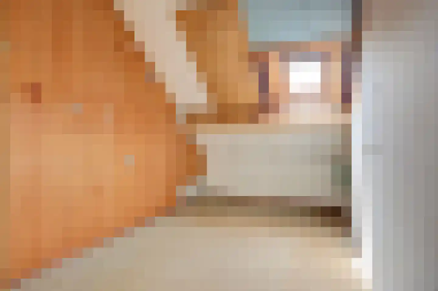 Jonkersfinne 3 Workum thumbnail 30