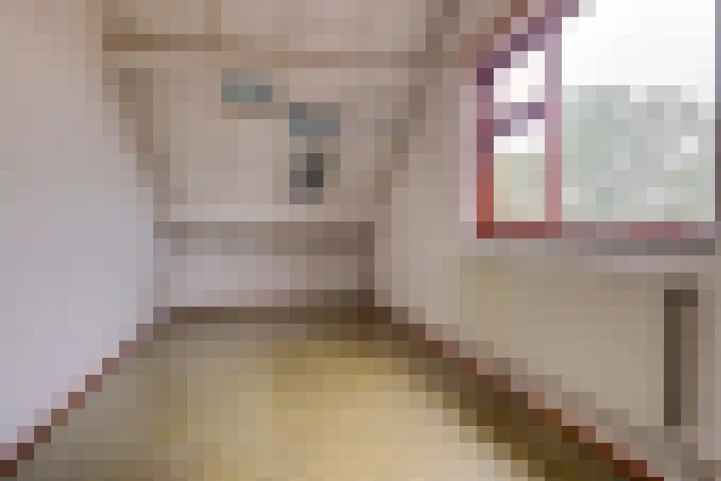 Jonkersfinne 3 Workum thumbnail 32