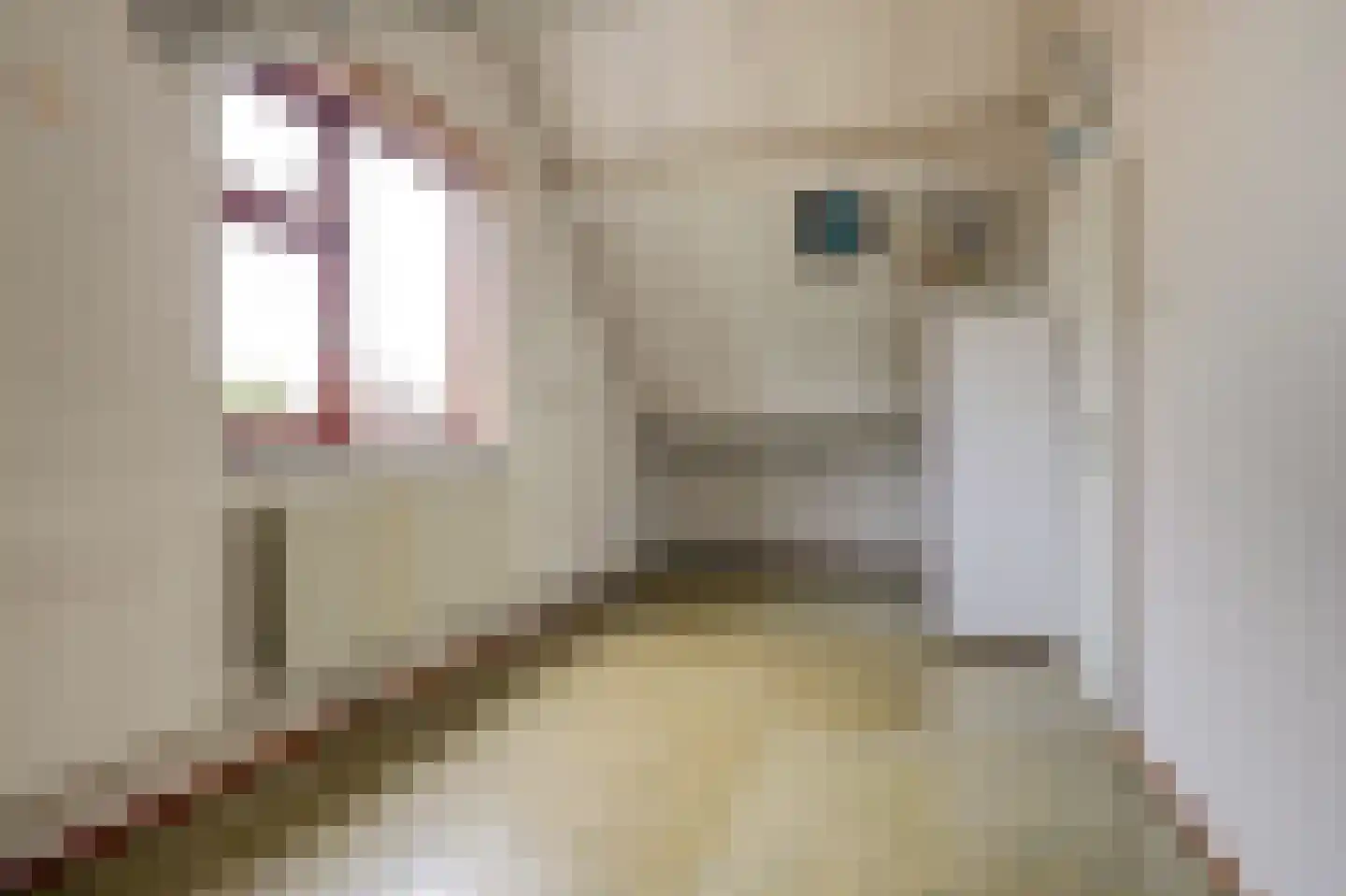 Jonkersfinne 3 Workum thumbnail 33