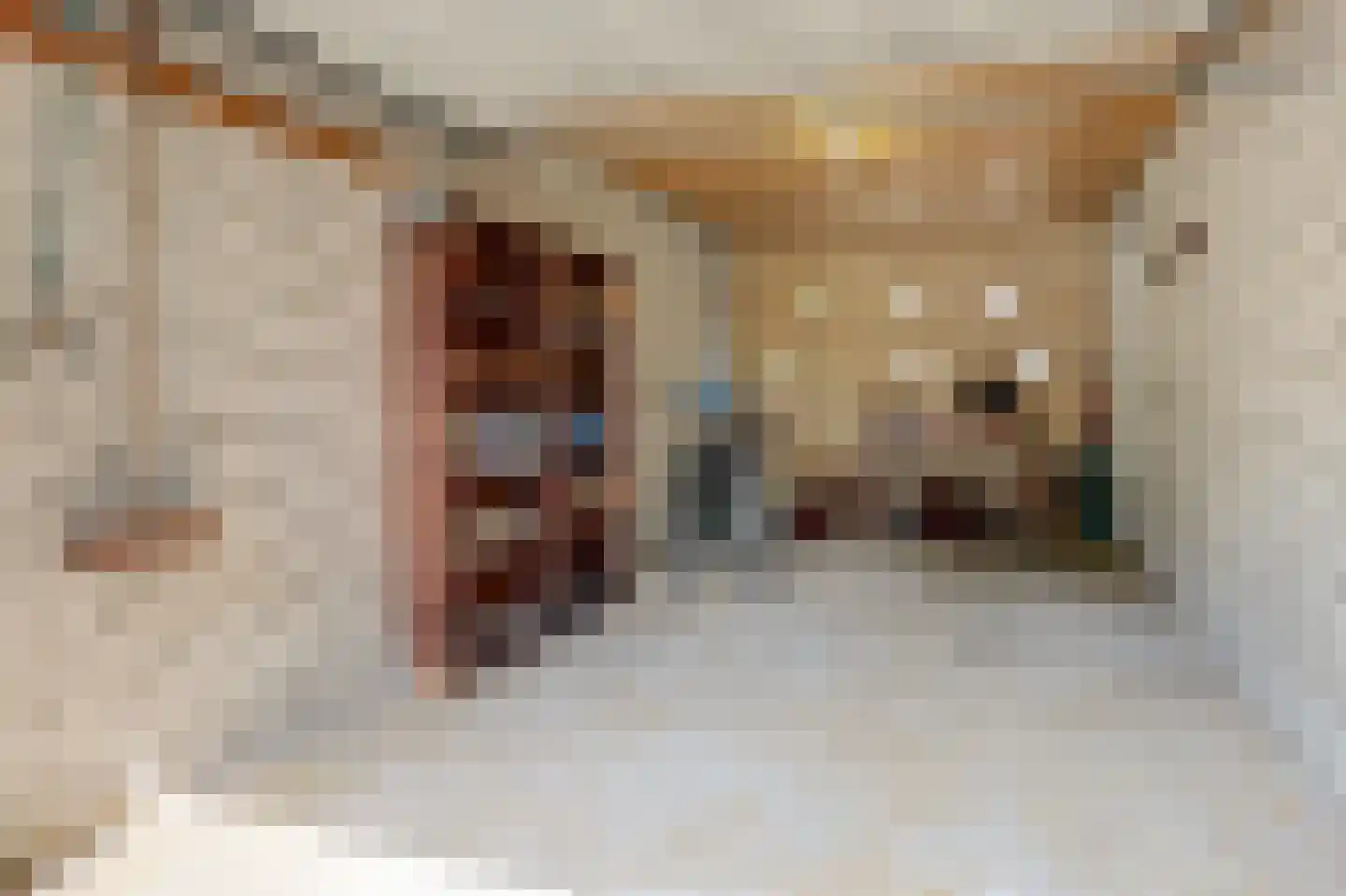 Jonkersfinne 3 Workum thumbnail 34