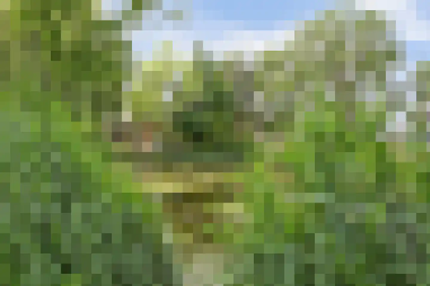 Jonkersfinne 3 Workum thumbnail 40
