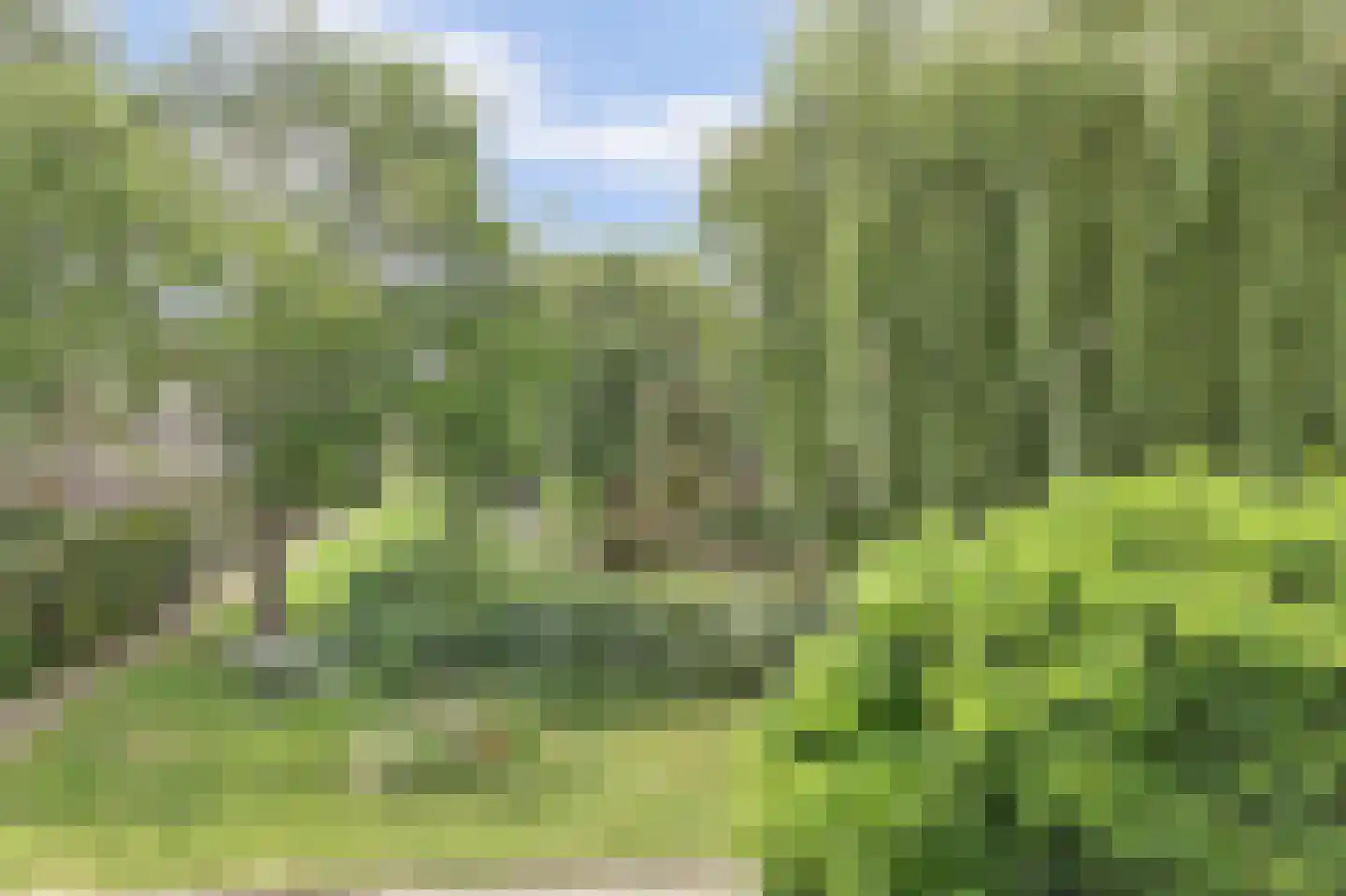 Jonkersfinne 3 Workum thumbnail 5
