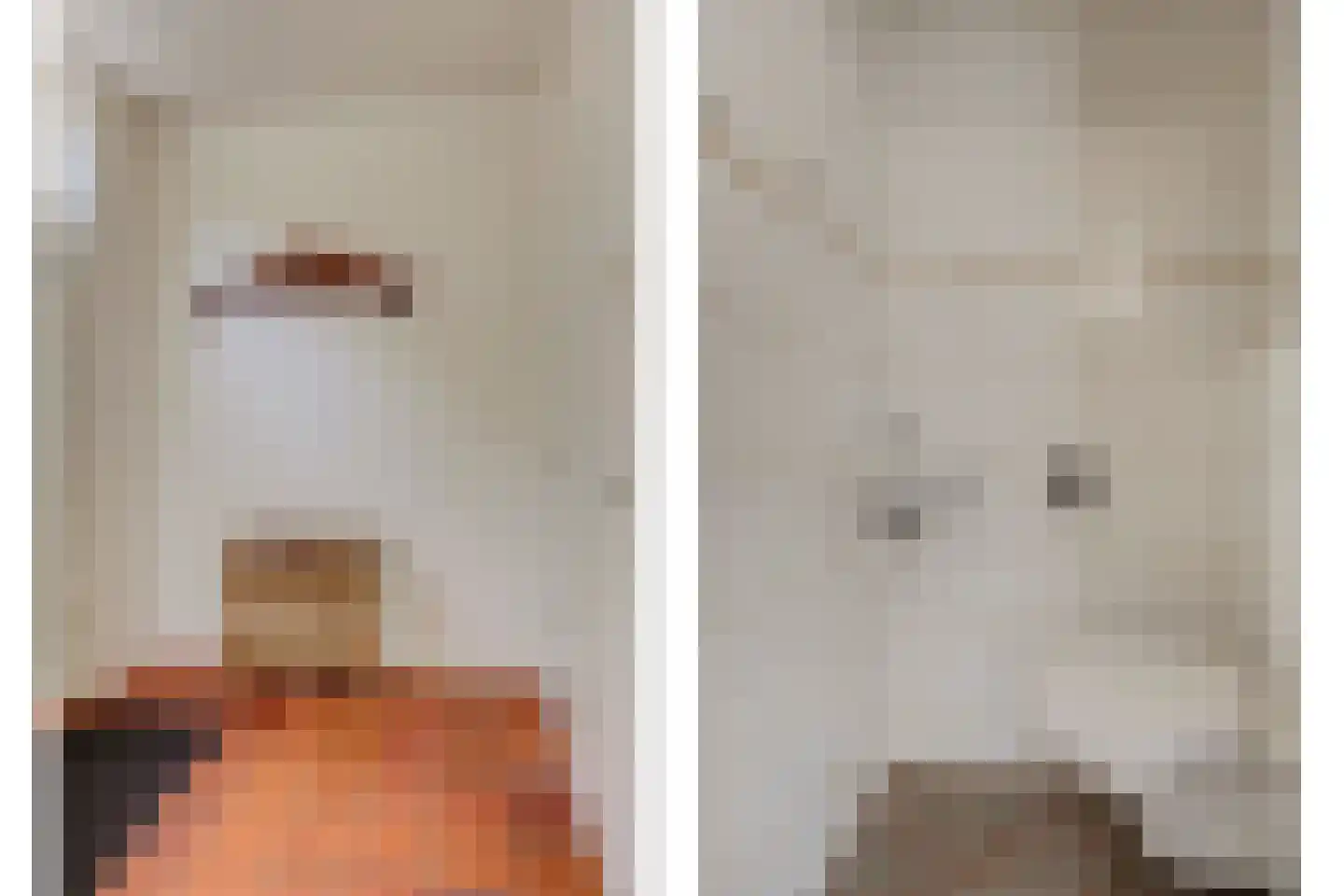 Jonkersfinne 3 Workum thumbnail 7