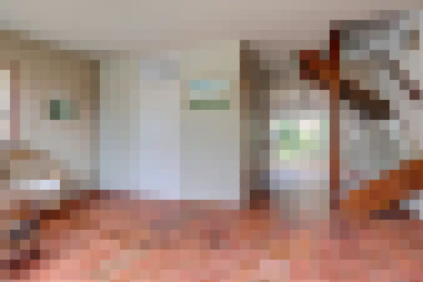 Jonkersfinne 3 Workum thumbnail 9