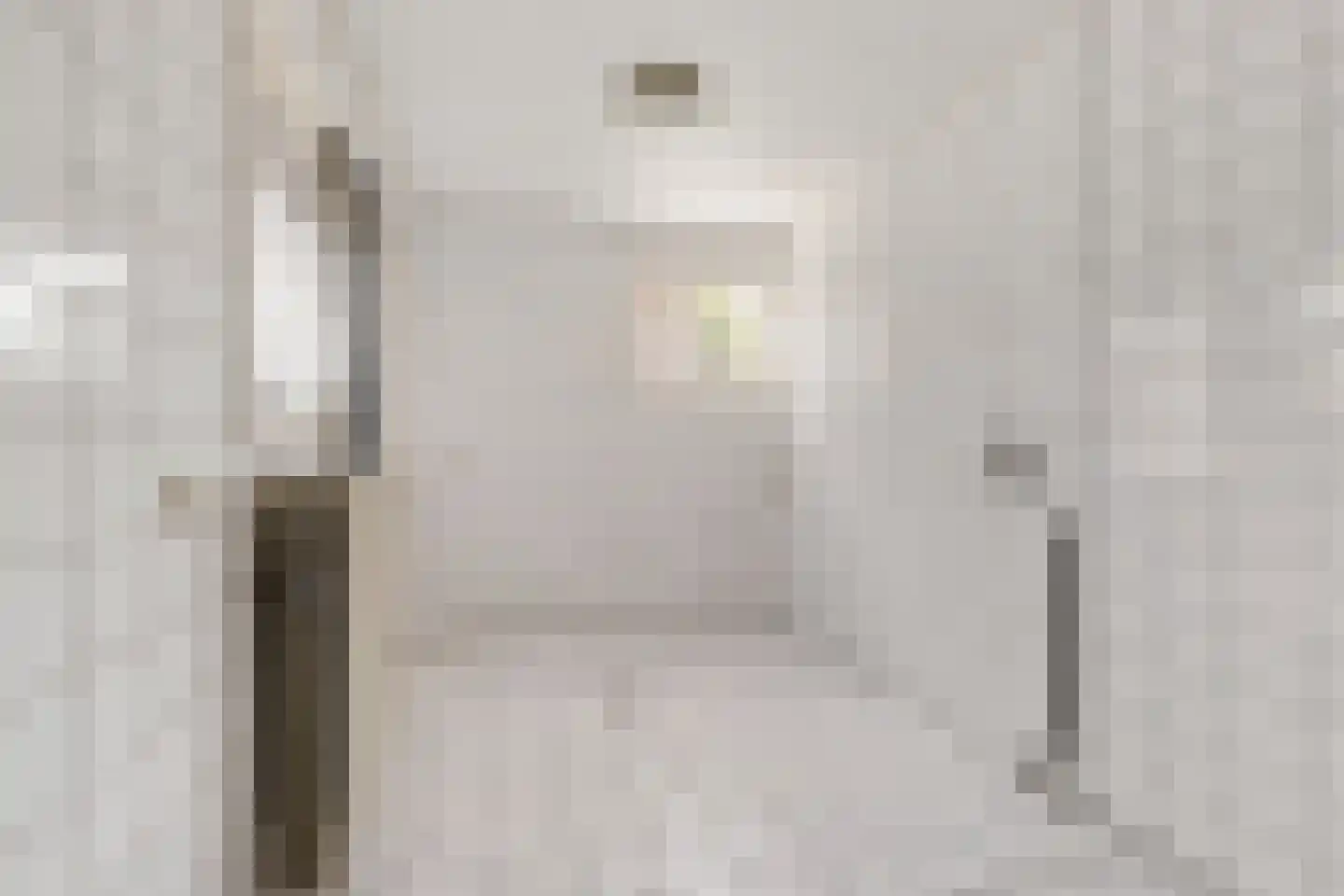 Jonkersfinne 4 Workum thumbnail 16