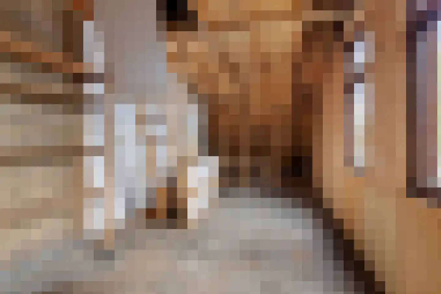 Jonkersfinne 4 Workum thumbnail 21