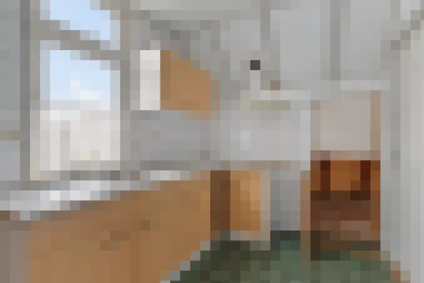 Jonkersfinne 4 Workum thumbnail 24