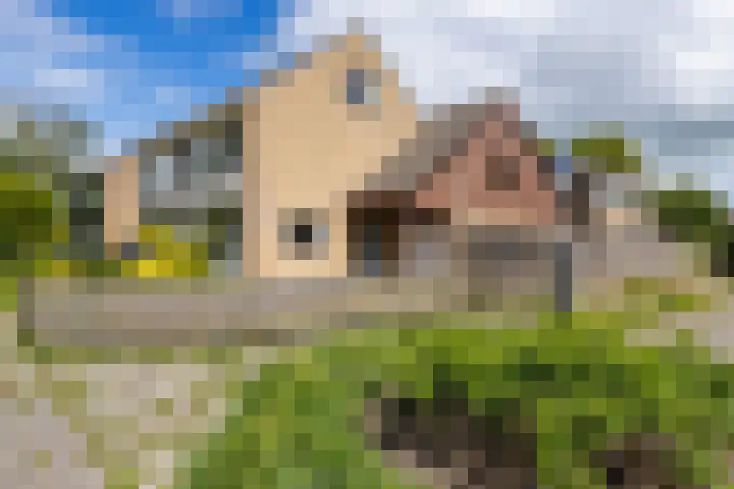 Jonkersfinne 4 Workum foto 3