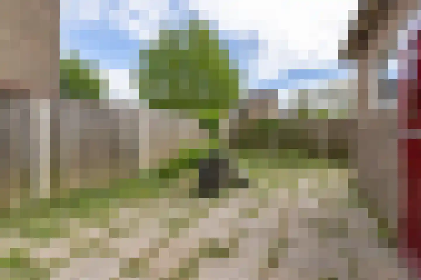 Jonkersfinne 4 Workum thumbnail 36