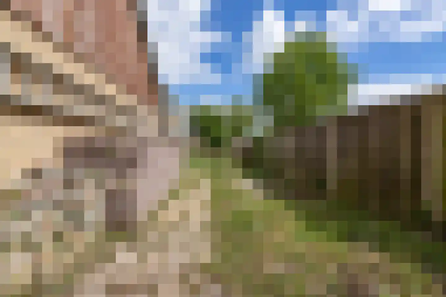 Jonkersfinne 4 Workum thumbnail 38