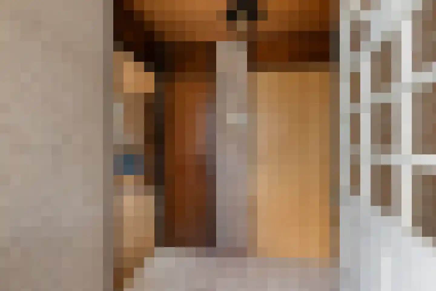 Jonkersfinne 4 Workum thumbnail 4