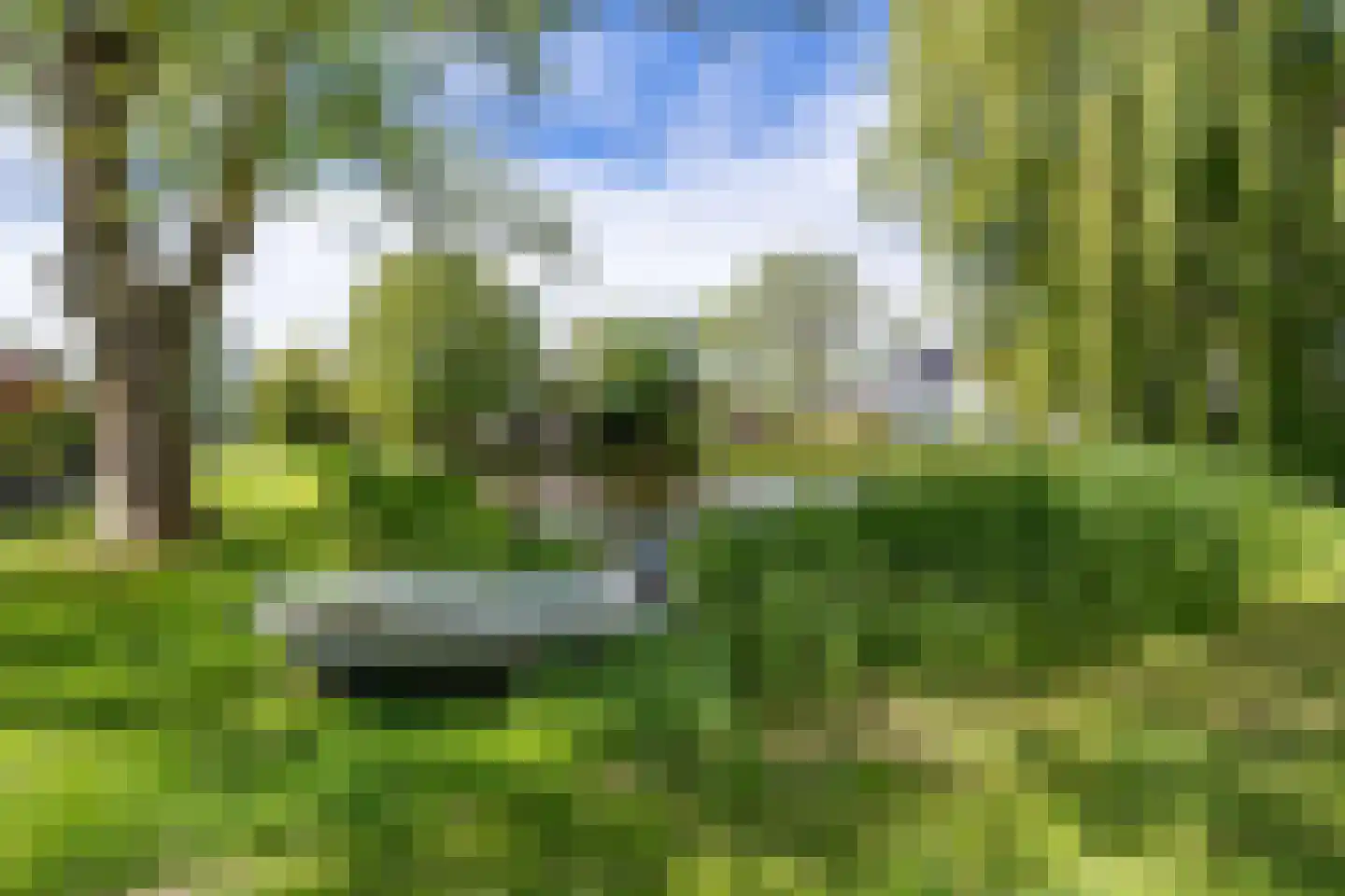 Jonkersfinne 4 Workum thumbnail 43