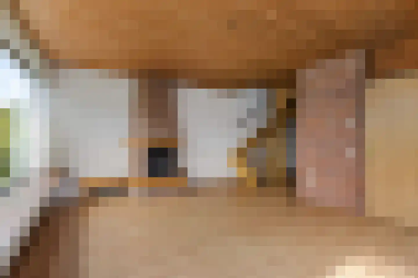 Jonkersfinne 4 Workum thumbnail 6