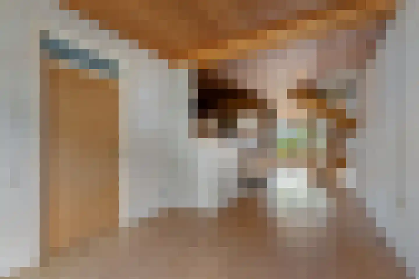 Jonkersfinne 4 Workum thumbnail 9