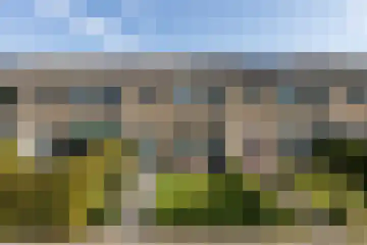 Jonkersfinne 7 Workum