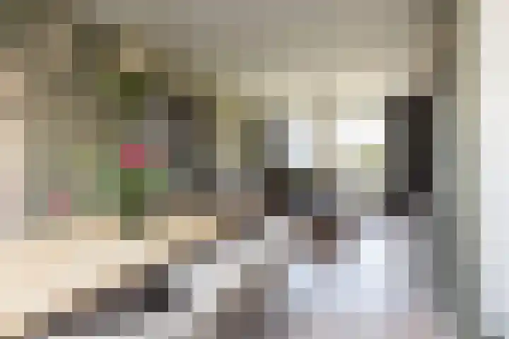 Jonkersfinne 7 Workum thumbnail 10