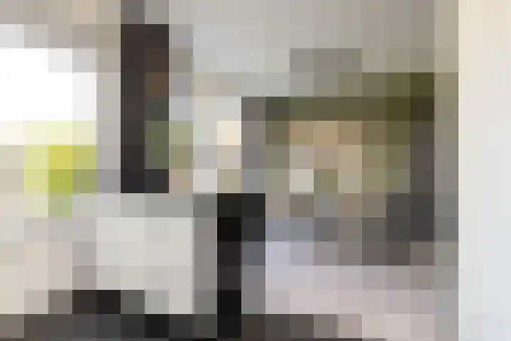 Jonkersfinne 7 Workum thumbnail 12